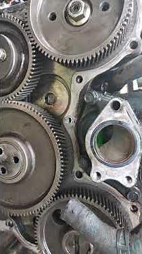 Timing engine KUBOTA v3300