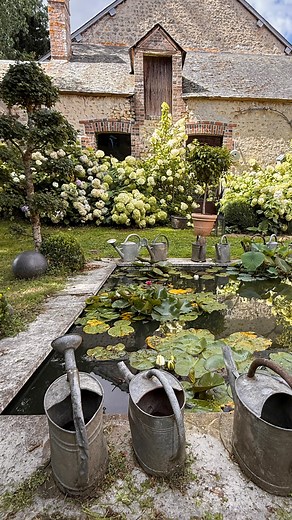 10K views · 3.7K reactions | Welcome to the world of...