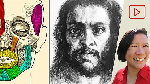 Artistic Anatomy Lecture: The Face · Art Prof