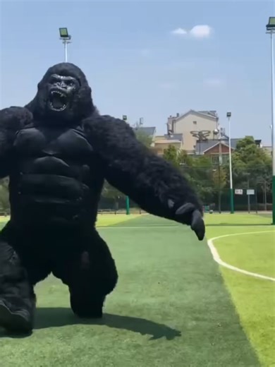inflatable gorilla mascot for party #gorilla #mascot #costume#eventsupplier #eventsupplierph #eventsupplies #gorillazcosplay #gorillamascot #gorillacostume #eventplan #eventplanner #eventplanning #birthdayparty