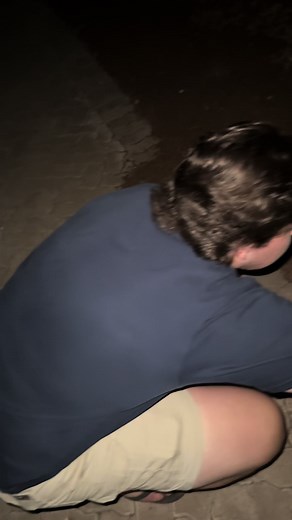 Can I pet that dawg #hyena #weesnman #boepa #billy #petthatdog #canipetthatdog