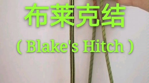 布莱克结( Blake's Hitch )