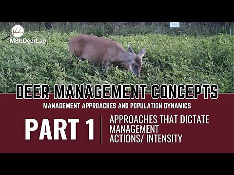 Deer Management Concepts: Management Approaches and Population Dynamics - Part 1
