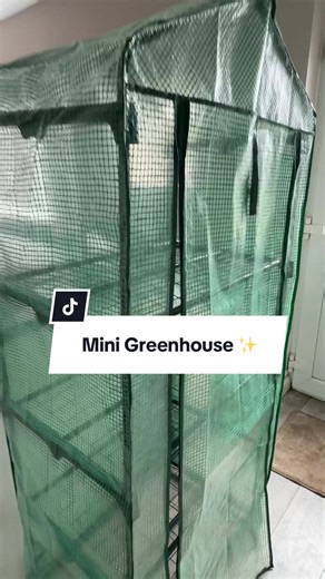 Mini Greenhouse: Grab Yours Before Spring Price Hikes!