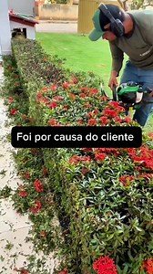 # Landscape Hedge Care Guide Proper hedge care keeps your landscape looking neat while promoting plant health. Here are essential maintenance tips: ## Pruning & Shaping - **Timing**: Prune most hedges 2-3 times per growing season (spring through fall) - **Technique**: Create a slightly tapered shape (wider at bottom) to allow sunlight to reach lower branches - **Tools**: Use sharp shears or electric trimmers for clean cuts ## Watering - **New hedges**: Water deeply 2-3 times per week for first y