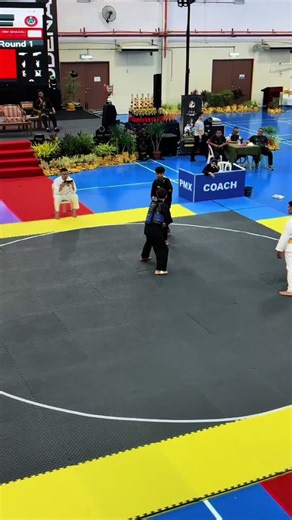 Beginner's Guide to Silat Olahraga Techniques