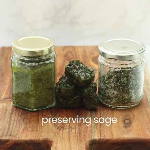 3 Easy Ways to Preserve Sage: Don't Let Your Harvest Go to Waste!