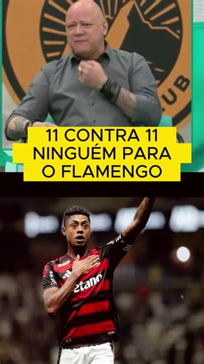 FLAMENGO VEM PRA CONQUISTAR TUDO! #mengaomalvadao #futebol#palmeiras
