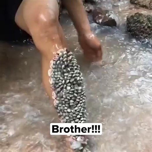 1.2K views · 4 comments |  Detox in Just 30 Minutes with Healifeco...