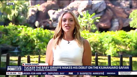 Inside Disney: Baby giraffe makes his debut