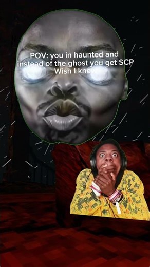 SCP wish I knew #gorillatag #animalcompany #vr #funny #relatable