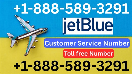 Official JetBlue Airlines™ Customer Service Guide | Step-by-Step Help & Support Explain