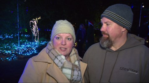 The Grotto at Portland lights up for the holidays