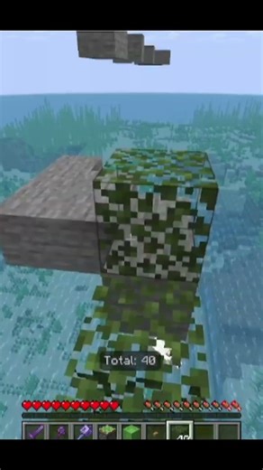 Lock in for my minecraft dog #minecraft #memes