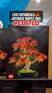 6.4K views · 96 reactions | Costco just dropped a stunning Japanese Maple Tree set from LEGO’s Botanicals line for only $44.99! With over 500 vibrant pieces, this relaxing build brings nature indoors like never before — share with a friend who needs zen. #costcofinds #costcowonders #costcoinfluencer #costco #legobotanicals #legojapanesemaple #legoset #costcotoys #fallvibes | Costco Wonders | Facebook