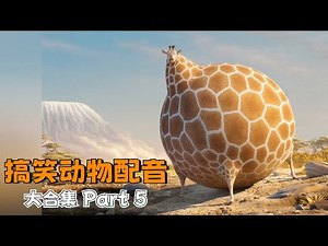 【搞笑动物配音】专治不开心！一次看过瘾140合集篇