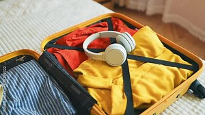 The growth and blooming of greenhouse cucumbers. the Bush cucumber on the trellis. Cucumbers vertical planting. Growing organic food. Cucumbers harvest.Cucumbers grow on a bed. High quality photo