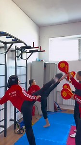 Mawashi Geri 💥 | Karate Science