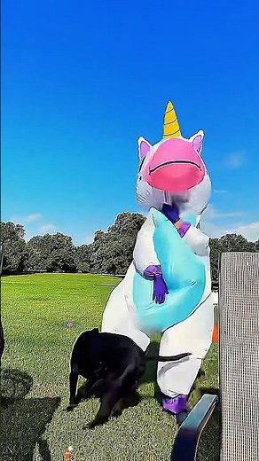 Inflatable suit Fart prank😂#fyp#foryou#tiktok#funny#usa🇺🇸 #prank#husbandwife