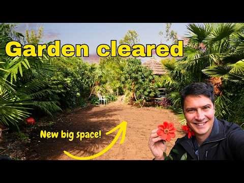 Big Changes in the Garden 🌿 Bamboo Gone & Lawn Project Starts!