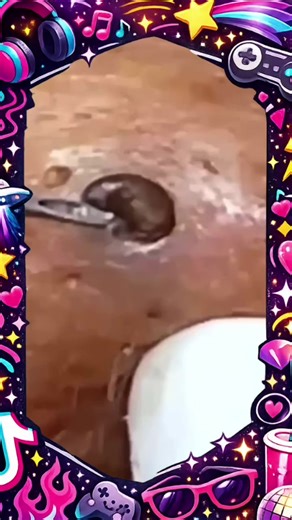 Effective Acne Removal Techniques for Clear Skin