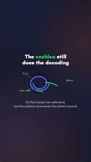 How a bone-conduction headset works | WhyDaily