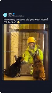493K views · 182 reactions | Cleanest window on the building… | Meme Sarcasm Comedy | Facebook