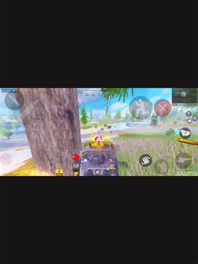 Understanding Color Codes and Mythic Skins in COD Mobile