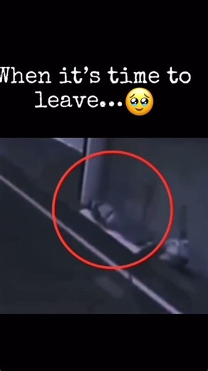 Soul Leaving Man’s Body🕊️🪽 #dying #angel #lifeafterdeath #soul #heaven #shorts #death #sign