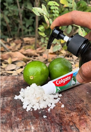 The Survival Save SOAP with DIY skills #skills #amazing #camping