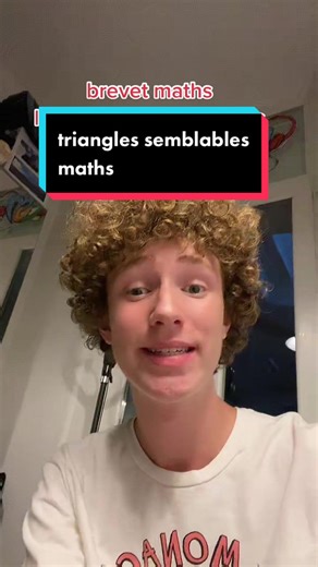Comprendre les triangles semblables en maths