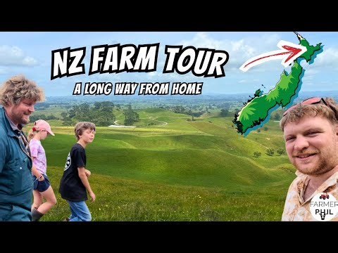 Farming on the Other Side of the World | NZ Dairy Farm Tour