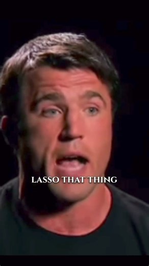 Remember the time Minotauro Nogueira mistook a bus for a Donkey? #brazil #chaelsonnen #badguy #bjj #funny #joerogan #throwback #meme #love #mma | South African MMA