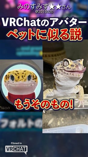 Pet and owner avatars are guaranteed to look alike! Part 2! #Shorts #VRChat #Vket