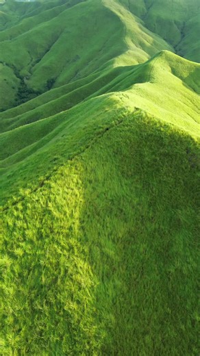 Embracing Softness in a Harsh World