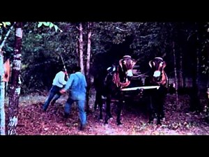 Bloody Mama - Exploitation Movie Trailer