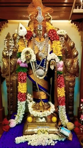 முருகன் வாக்கு 🙏 ஓம் முருகா சரணம்_god _ytshorts _velavaa _velmurugan _murugasongs _murugan_reelslove