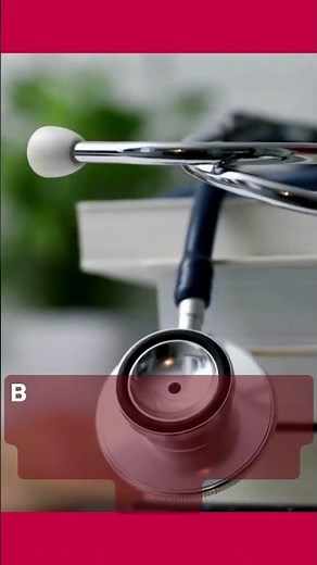 Exploring the Educational Background of Maria Montessori: From Medicine to the Montessori Method