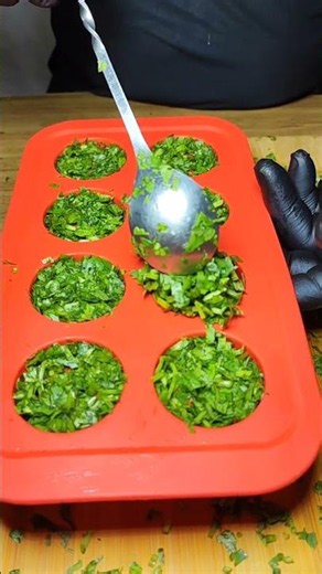 how to keep cilantro fresh
