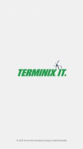 Don't stress a mosquito problem. Terminix It with fast, friendly service. | Terminix