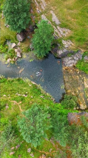 Boys Swimming in Hidden Paradise Pool 🌊 | Epic Nature Adventure #shorts