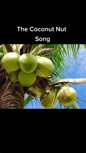 Joel G. France on TikTok