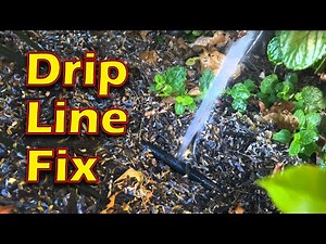 Drip Line Fix - Drip Irrigation Leak Fix - So easy, anyone can do it.