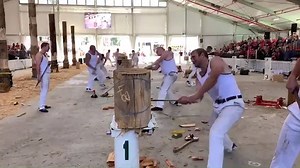 2.5K views · 87 reactions | Champion Ekka wood chopper, Jake Dingle,...