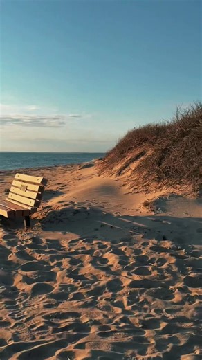 Hi everybody✨🙋‍♂️#capecodboy4life
