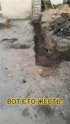 I Took Down the Fence with My Own Hands and Was Stunned by What Was There