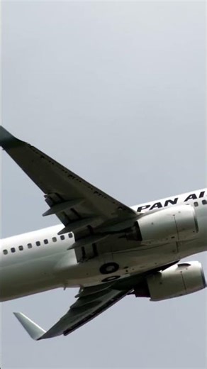 日本航空 JAL JA320J B737-846 #飛行機 #airline #成田空港 #b737 #jal