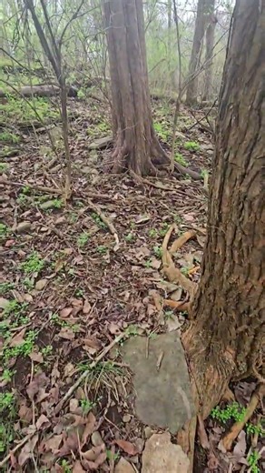 Cracking "The Code" while geocaching!