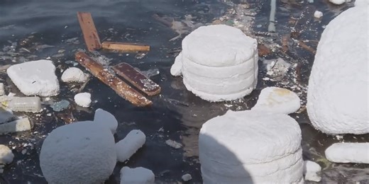 Local company aims to reduce environment pollution with biodegradable packaging