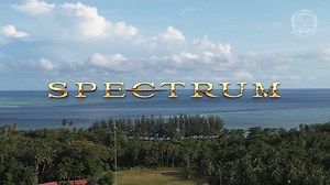 Did Hermawan Saputra just catch a baby shark?! 🦈😱 Watch Team Seahawk’s Spectrum rod in action! 🎣💥 Paired with Team Seahawk Black Gator SW reel. This powerhouse rod is built for medium to heavy fishing games. Perfect for jigging, pond fishing and bottom fishing technique. #TeamSeahawk #SeahawkFishing #CatchWithSeahawk #TeamSeahawkSpectrum | Team Seahawk Fishing